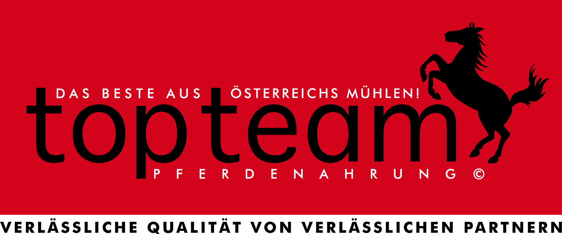 Logo_topteam