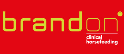 Logo_Brandon®