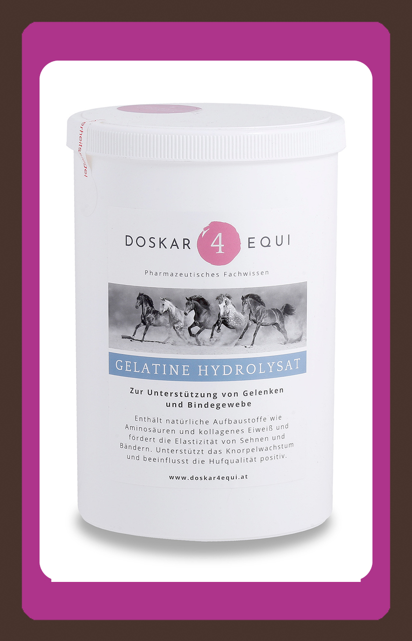 Produkt Bewegung Verdauung Pferd Doskar4Equi
