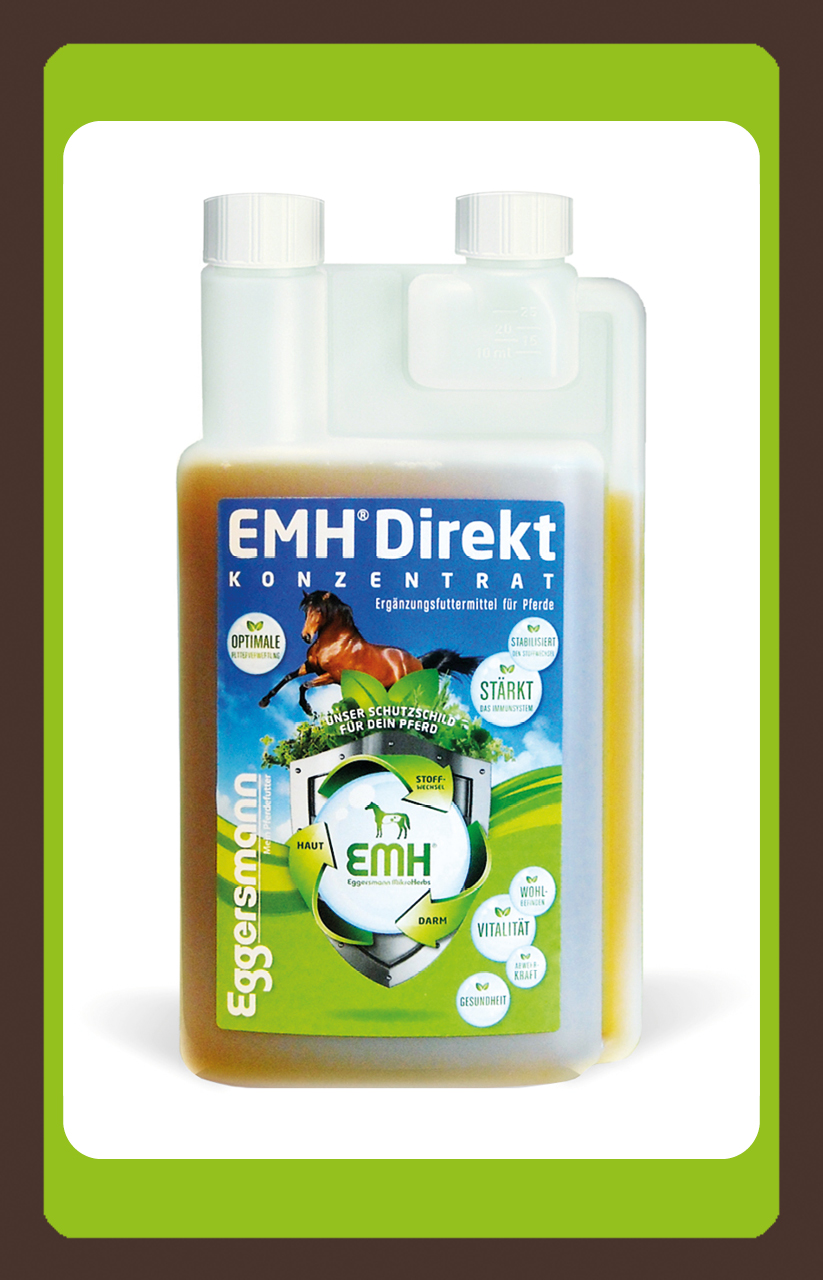 produkt Eggersmann EMH Direkt 1l