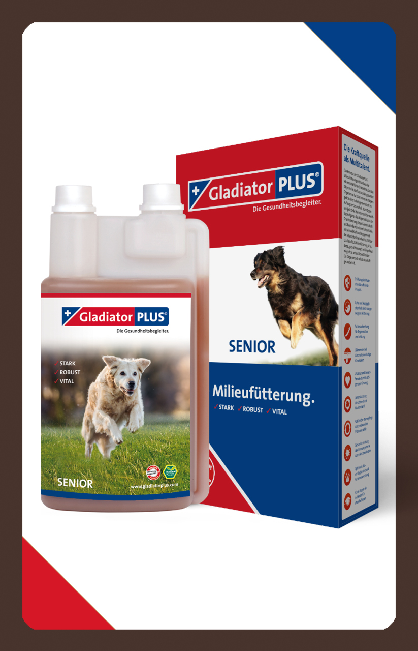 Produkt Hund Senior GladiatorPlus